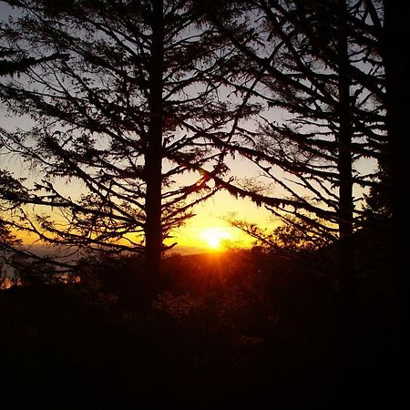 Appartamento Pimenta Funchal Downtown Esterno foto